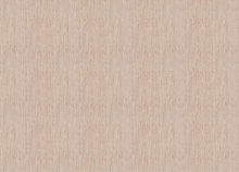 Коричневые обои в прихожую Fipar Modelli di Vita R 22354