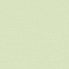 Alessandro Allori Bruni 1003-13 RBN Alessandro Allori Bruni 1003-13 RBN