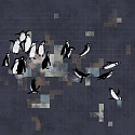 PINGUINE 8